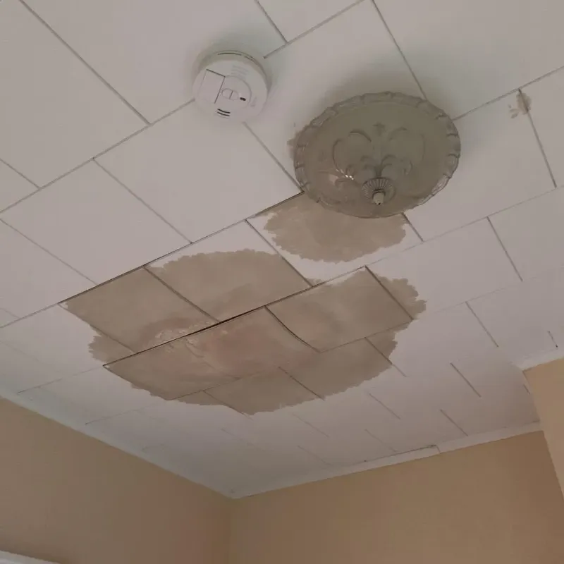 Ceiling Water Damage Repair in Burnsville, MN