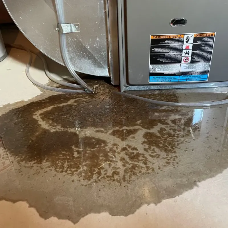 Pipe Burst and Leak Restoration in Burnsville, MN